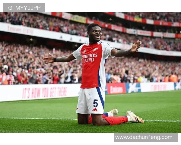 布罗比加盟桑德兰助力英超冲击新赛季目标展望